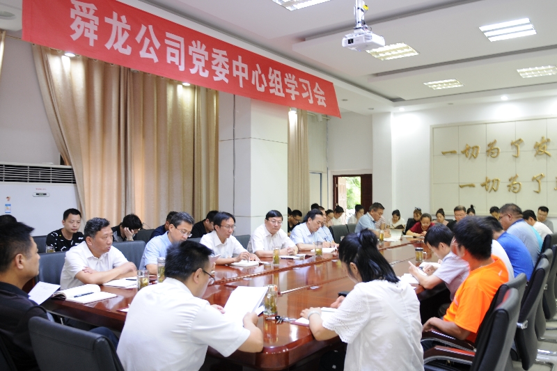舜龍公司召開“講忠誠、嚴(yán)紀(jì)律、立政德”專題警示教育動員會